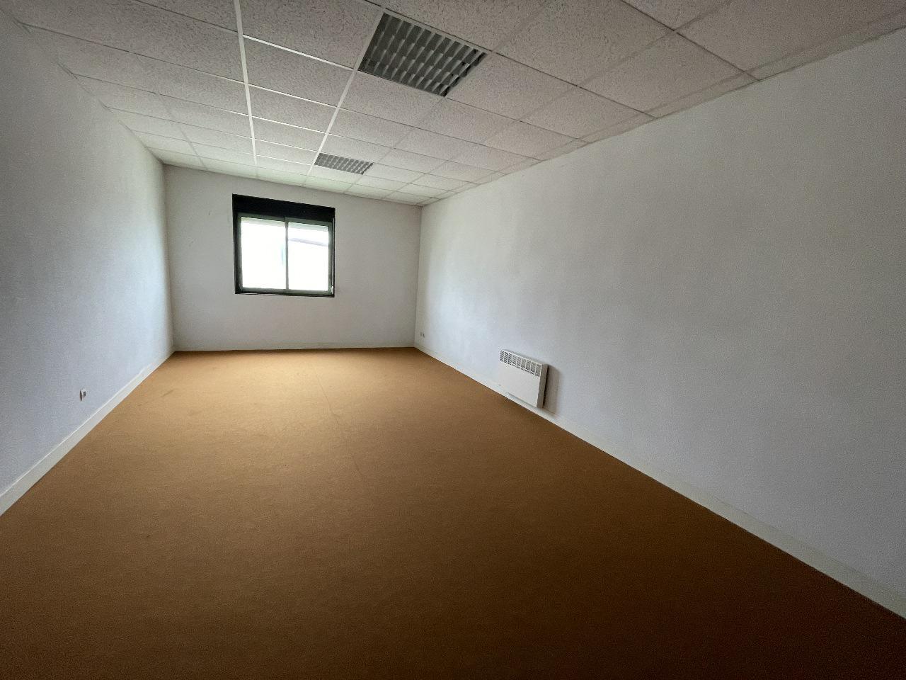 Local d'activité Mauguio 1620m² Vente local d'activité Mauguio Hérault OVACT2531477 14